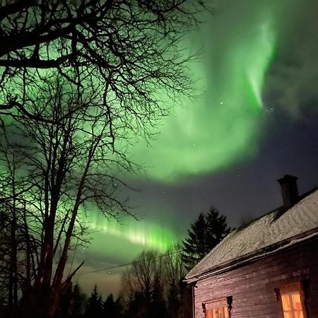 100 Years Old Norwegian Log House In Tromso Villa ภายนอก รูปภาพ