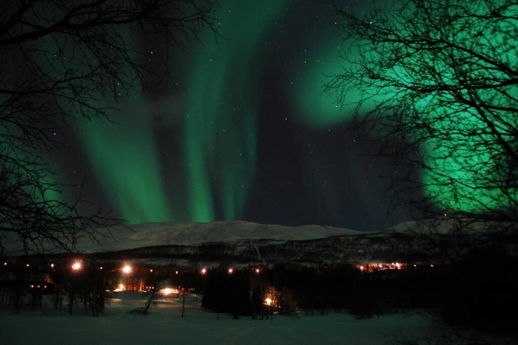 100 Years Old Norwegian Log House In Tromso Villa ภายนอก รูปภาพ