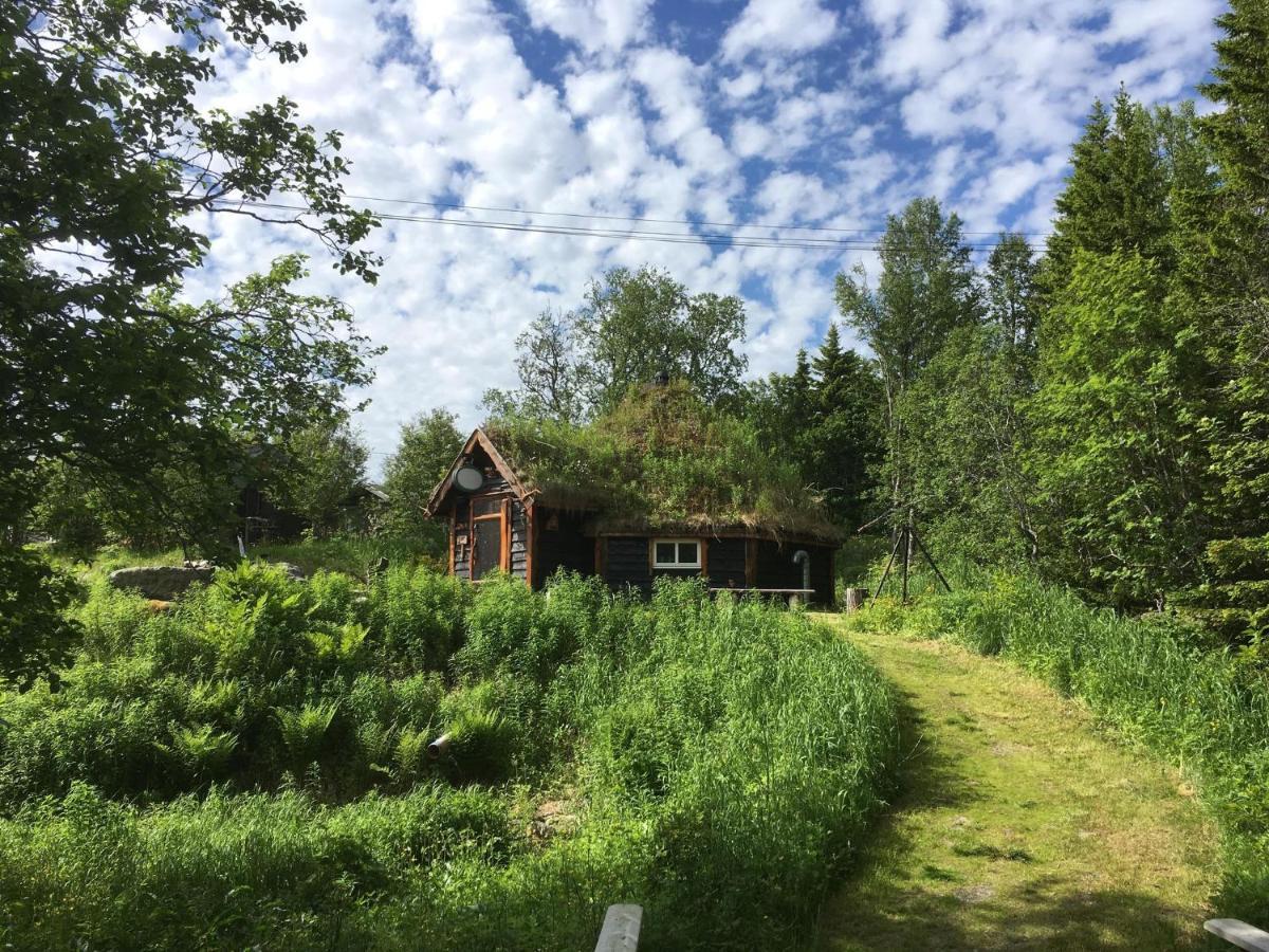 100 Years Old Norwegian Log House In Tromso Villa ภายนอก รูปภาพ