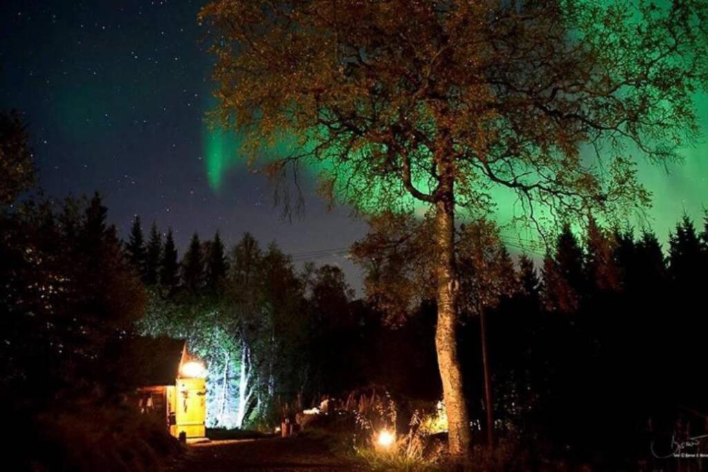 100 Years Old Norwegian Log House In Tromso Villa ภายนอก รูปภาพ