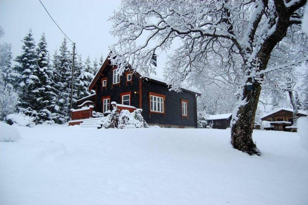 100 Years Old Norwegian Log House In Tromso Villa ภายนอก รูปภาพ