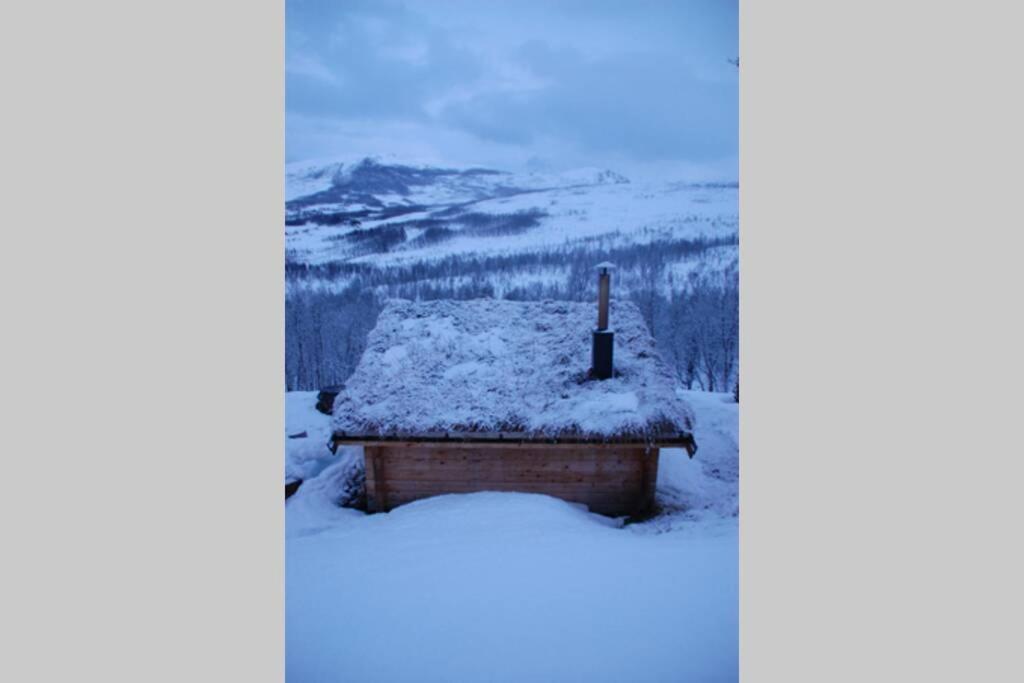 100 Years Old Norwegian Log House In Tromso Villa ภายนอก รูปภาพ