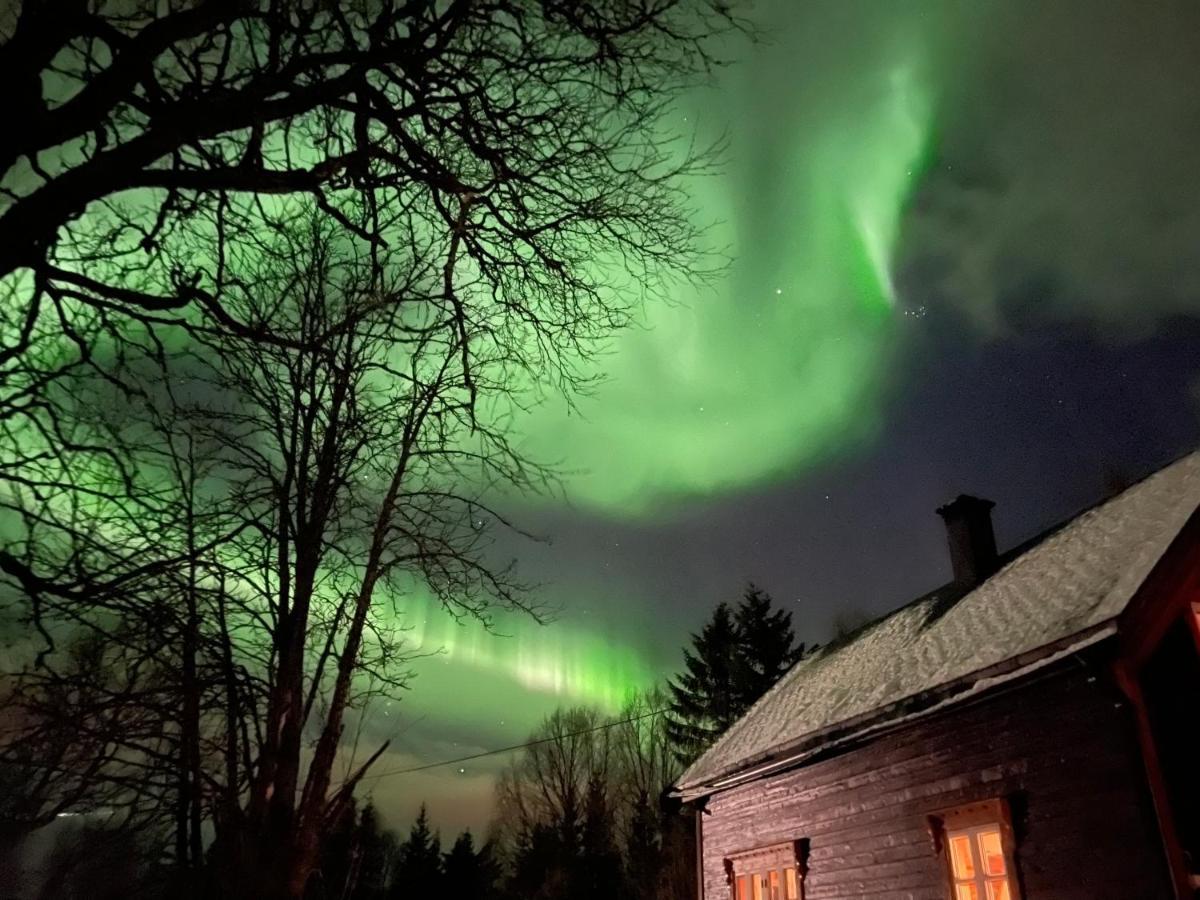 100 Years Old Norwegian Log House In Tromso Villa ภายนอก รูปภาพ